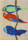 Trans Ocean Frontporch Parrots 149244 Bright