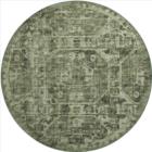 Dalyn Aberdeen AB2 Cactus