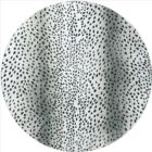 Dalyn Akina AK3 Ivory