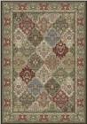 Dynamic Rugs Ancient Garden 57008 3233 Multi