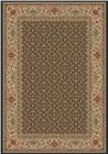 Dynamic Rugs Ancient Garden 57011 3464 Navy