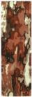 Kaleen Brushstrokes BRS05 30 Rust