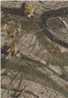 Milliken Realtree Collection HardwoodsSolidCamo 534711 74051