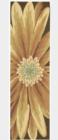 Nourison Fantasy FA09 Multicolor