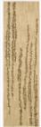 Nourison Radiant Impressions LK04 Beige