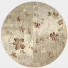Nourison Somerset ST64 Multicolor