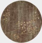 Nourison Somerset ST74 Multicolor