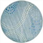 Safavieh Soho SOH654B Light Blue