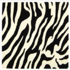 Safavieh Soho SOH717A White Black