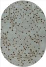 Surya Athena ATH5058 Stone Gray